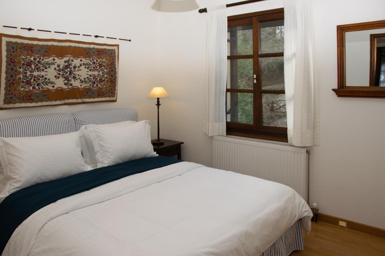 Θαλλώ Luxurious Villa Tsagarada Exterior foto