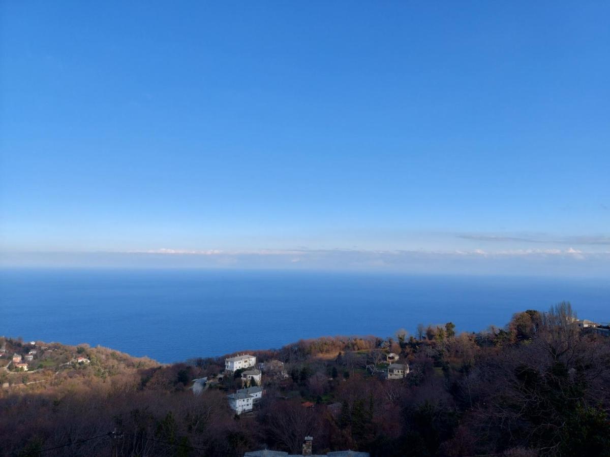 Θαλλώ Luxurious Villa Tsagarada Exterior foto