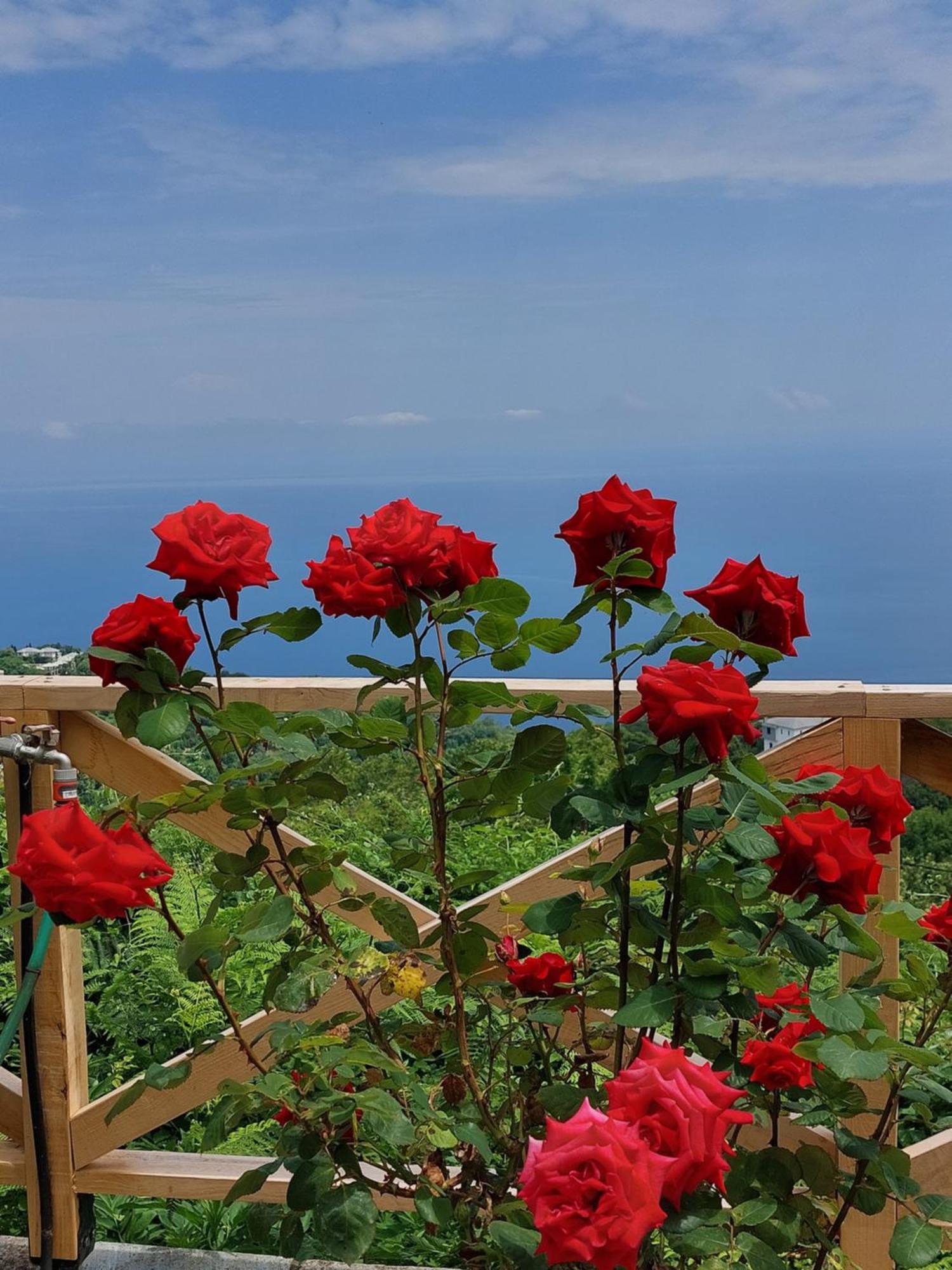 Θαλλώ Luxurious Villa Tsagarada Exterior foto