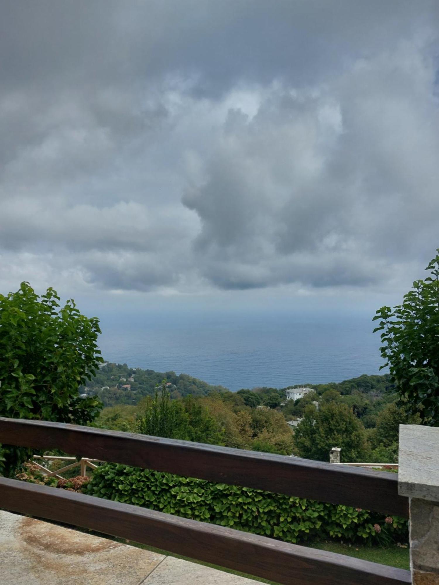 Θαλλώ Luxurious Villa Tsagarada Exterior foto