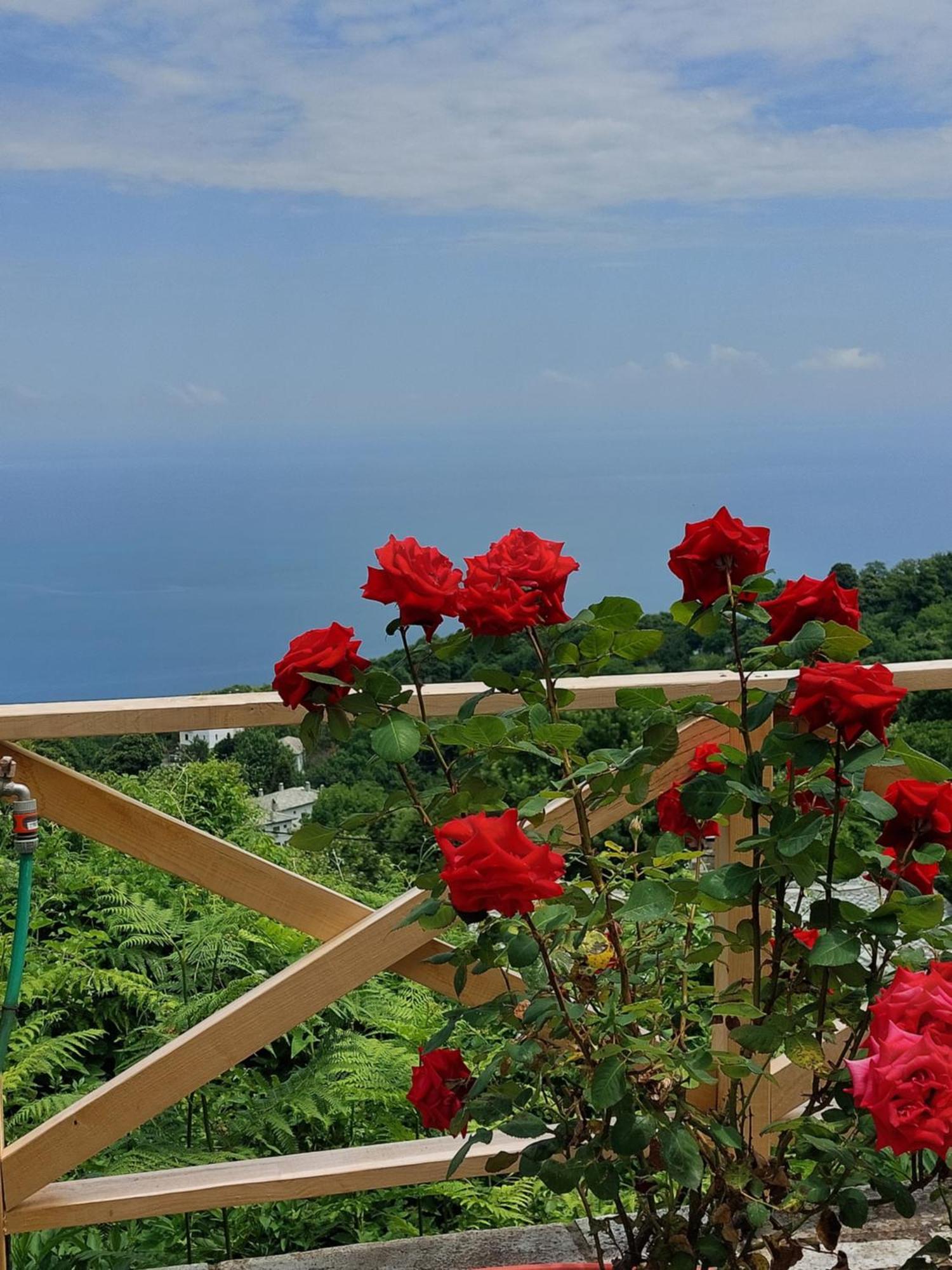 Θαλλώ Luxurious Villa Tsagarada Cameră foto