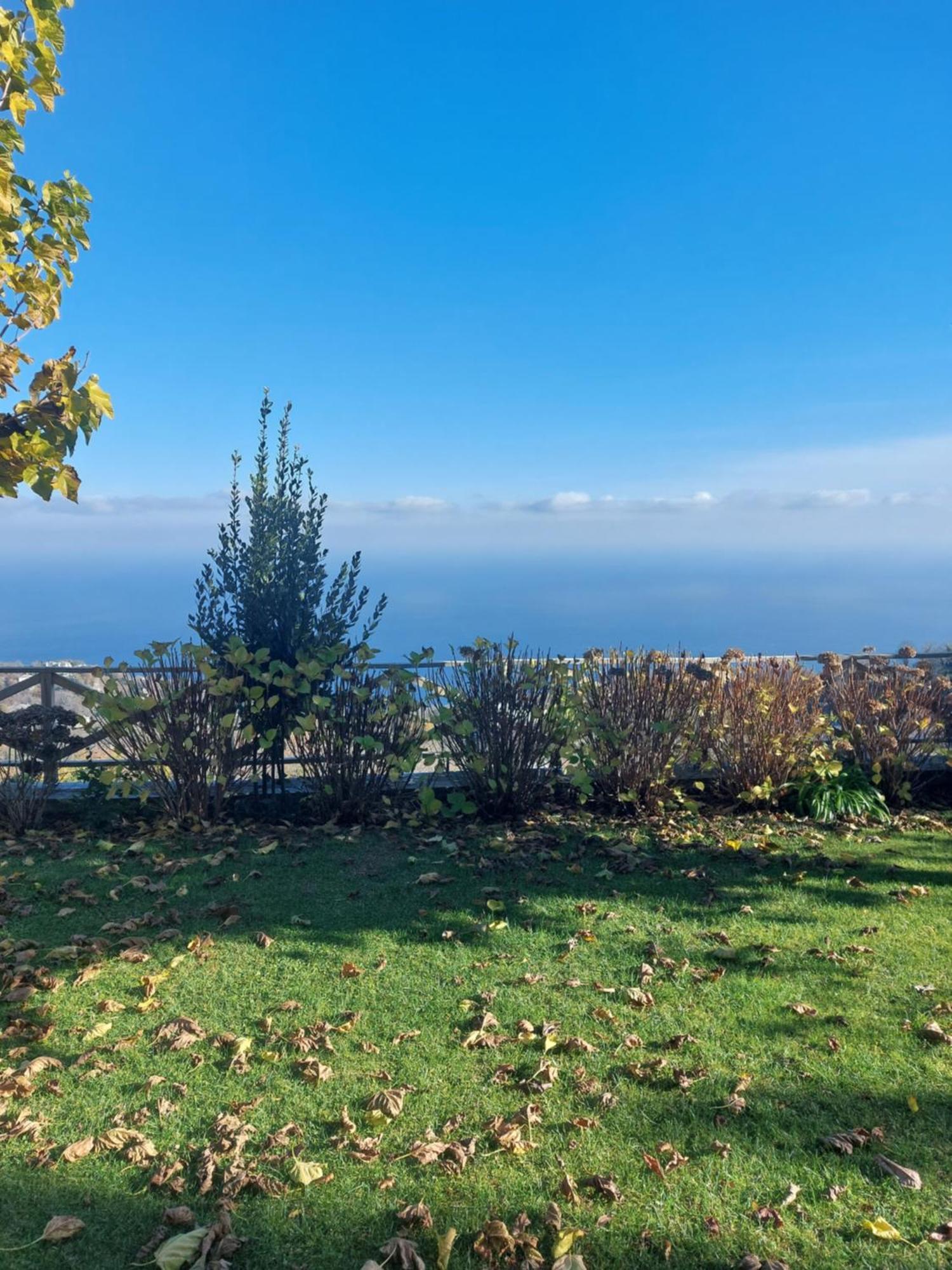 Θαλλώ Luxurious Villa Tsagarada Cameră foto