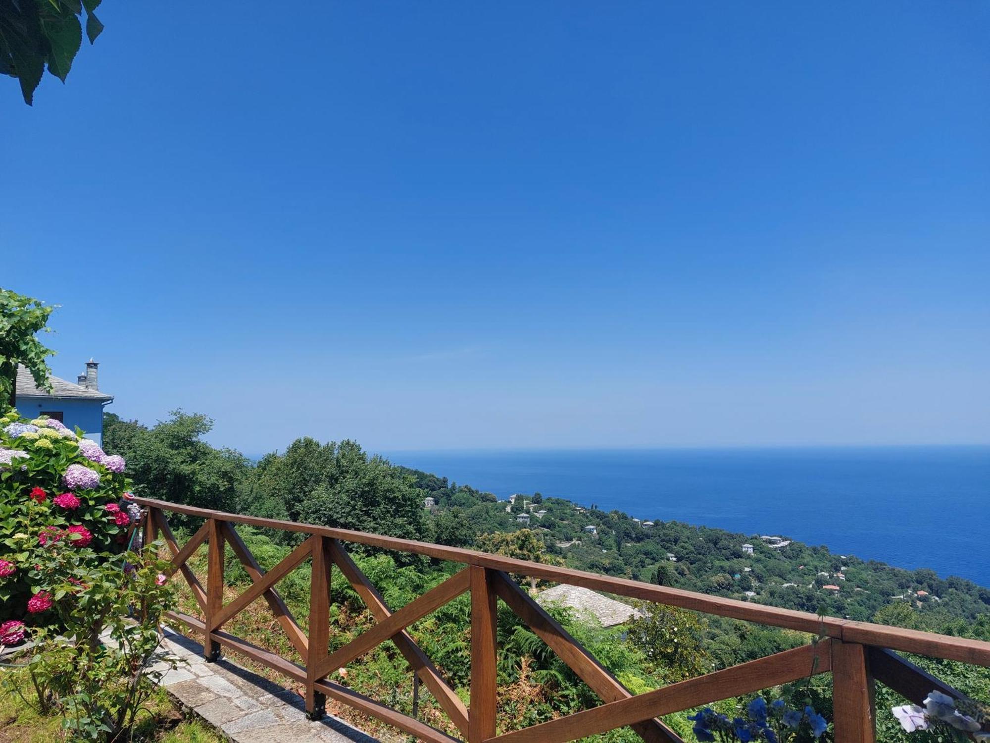 Θαλλώ Luxurious Villa Tsagarada Cameră foto