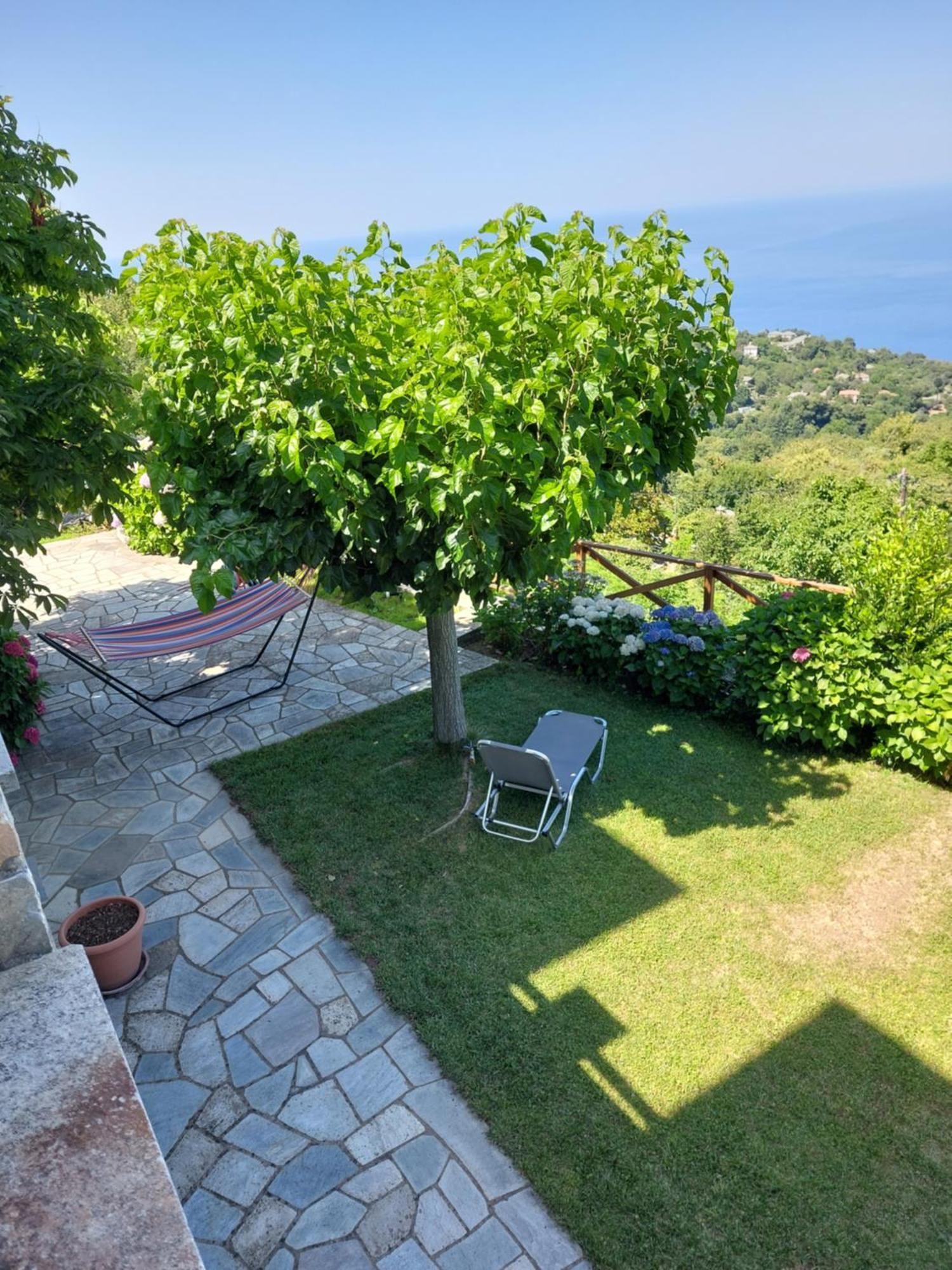 Θαλλώ Luxurious Villa Tsagarada Cameră foto