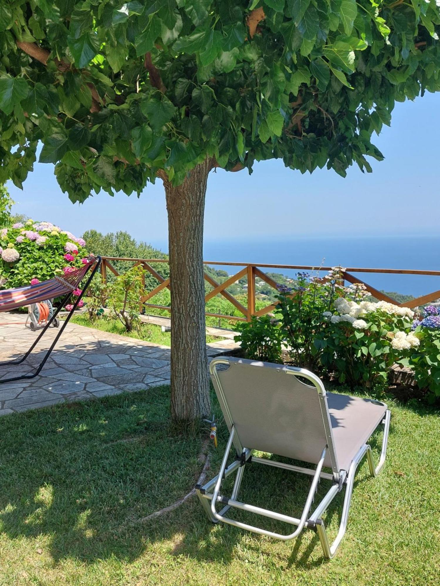 Θαλλώ Luxurious Villa Tsagarada Cameră foto