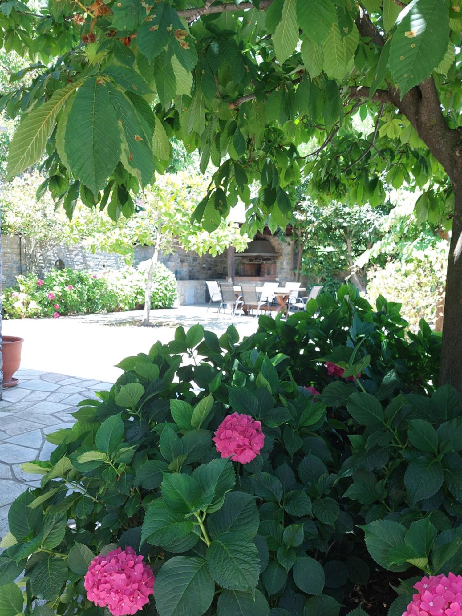 Θαλλώ Luxurious Villa Tsagarada Exterior foto