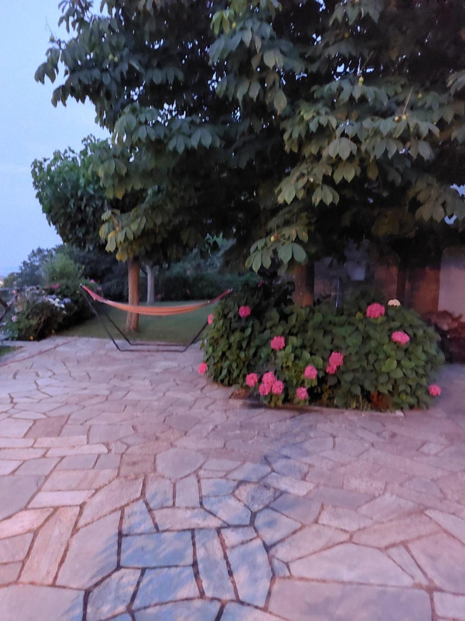 Θαλλώ Luxurious Villa Tsagarada Exterior foto